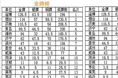 山东省24届省运会奖牌榜