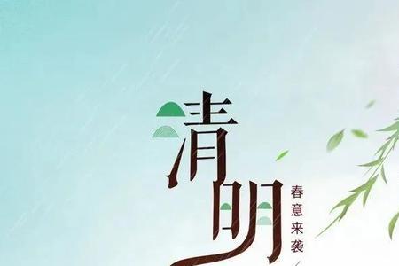 清明节适合送什么