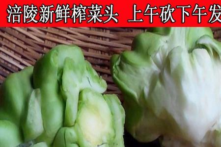 四川泡菜用儿菜还是青菜头