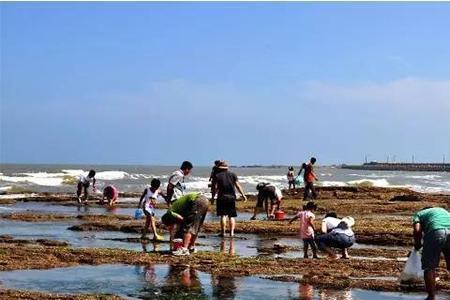 碧海湾赶海最佳时间