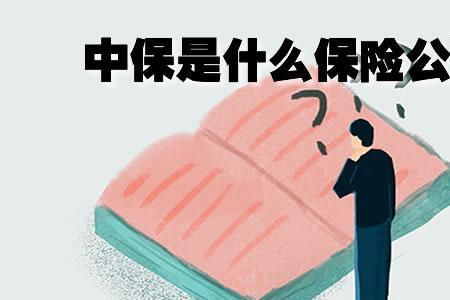 中保是什么保险公司