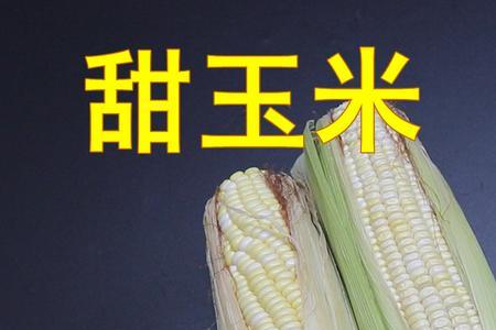 玉米鱼饵是白玉米还是黄玉米好