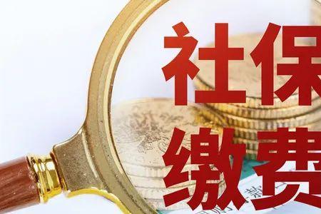 依法缴纳社会保障资金是什么