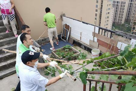 楼顶菜园如何底部架空