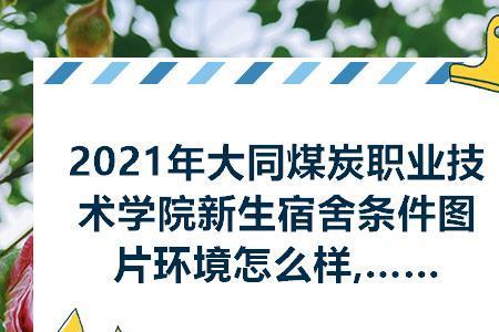 大同煤炭职业技术学院男女比例