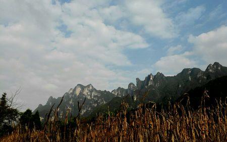 身在山中不知山意思