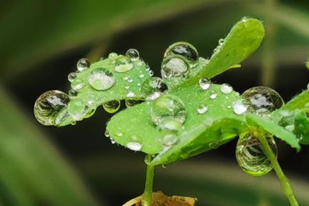 雨润万物什么意思