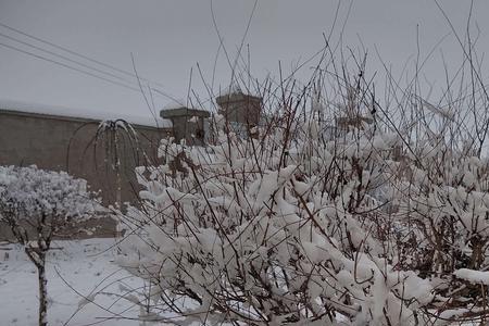 落得大雪一场什么意思