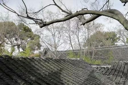 烟雨青黛的含义