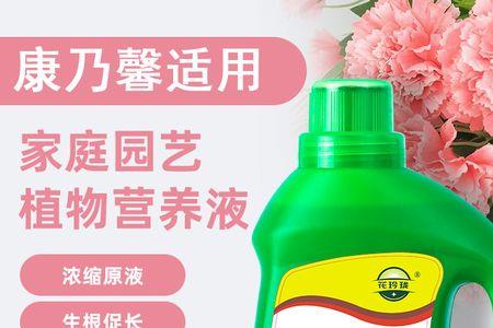 鲜花保鲜剂可以用来浇花吗