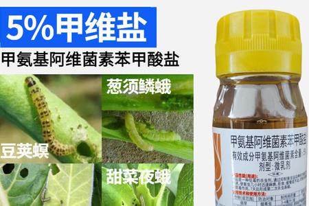 阿维菌素能杀死菜青虫吗