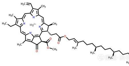 叶绿素结构简式