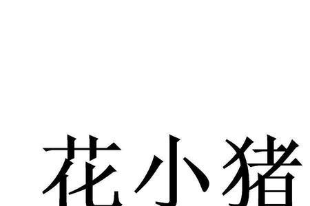 花小猪在天津怎么注册不了