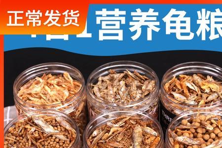 什么能代替乌龟的饲料