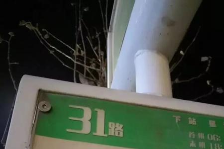 葫芦岛14路公交车行程路线