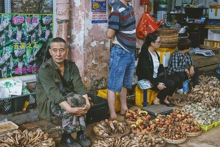 为什么云南人说自己是云南人