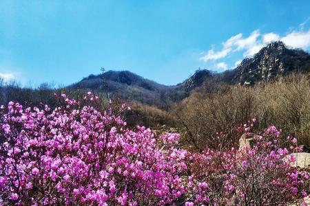 一什么山花填形容词