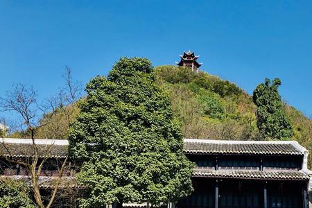 东山阳明祠什么时候开园