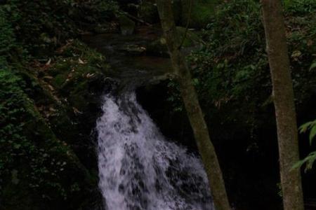 湖州大岗山海拔多少米