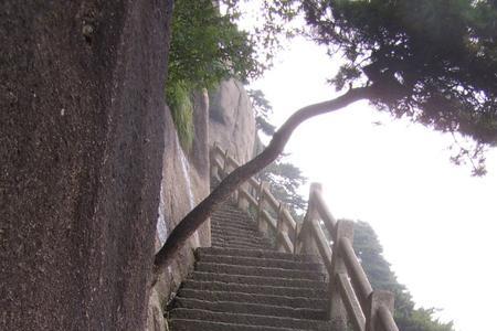 黄山莲花新道介绍