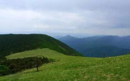 秦岭分水岭夏季气温