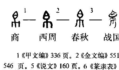 丁帛维方娄什么意思