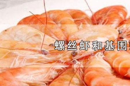 螺丝虾比基围虾贵吗