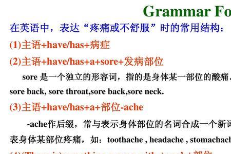 has是什么身体部位