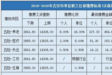 企业给女员工社保交到55周岁吗