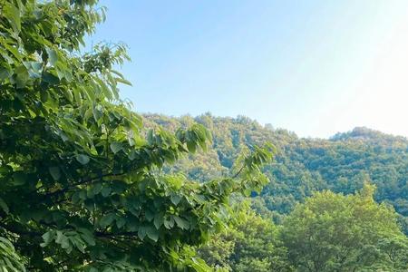 夏天去山里避暑穿什么好