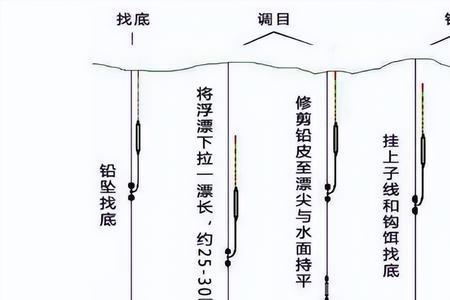 钓红尾调漂的正确方法