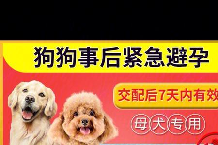 蛙是用避孕药养的吗