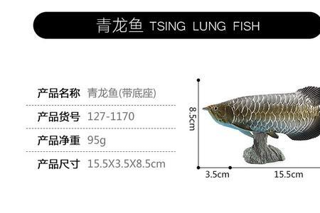 银龙大物和青龙大物对比