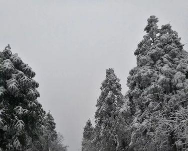 秀山轿子顶要爬多少步到山顶