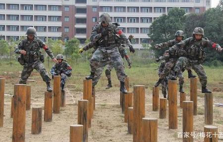 特种兵每年都在什么时候招