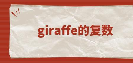 giraffe的音节划分