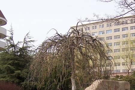 辽宁师范大学开放时间