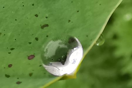 雨中情相近的词语