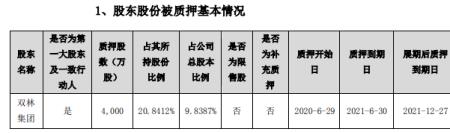 双林集团是国企吗