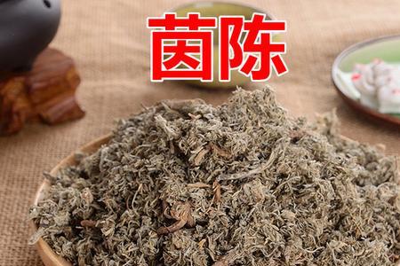 干茵陈可以放多久