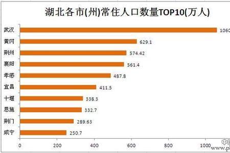 怎么查到城市人口数量