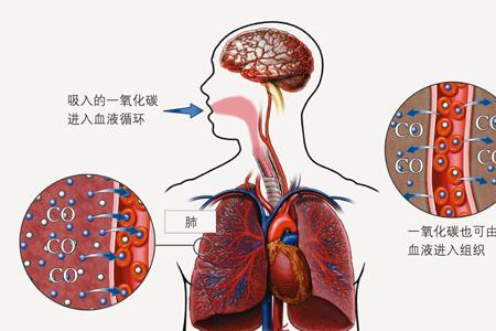 煤气中氧含量为什么不能过高