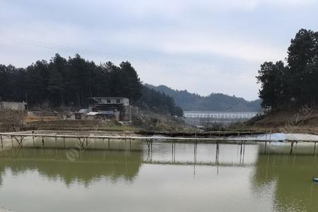 璧山松林水库可以钓鱼吗