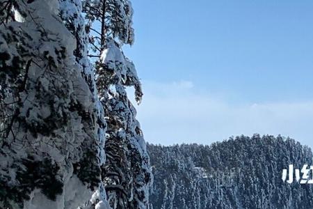 瓦屋山7月有必要上山顶吗