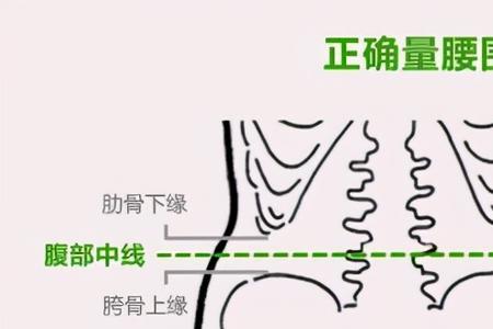 短袖腰围怎么量