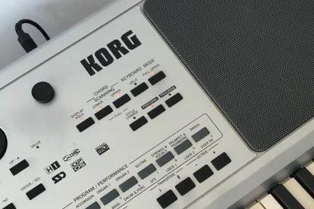 korg pa50和pa500那个好用