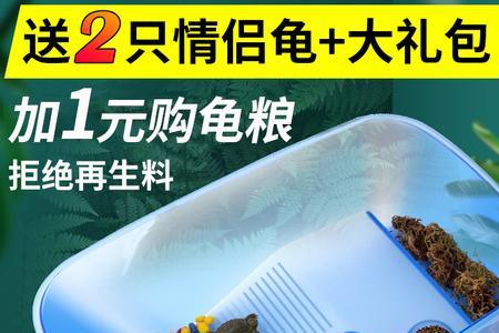 塑料乌龟缸裂缝了怎么办