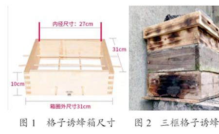 中蜂箱同向前后间隔多少合适