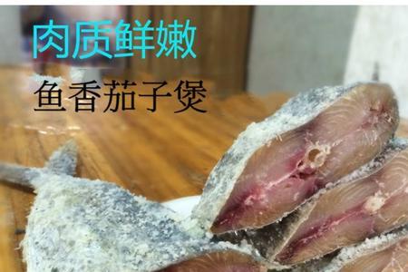 为什么马鲛鱼的肉很柴