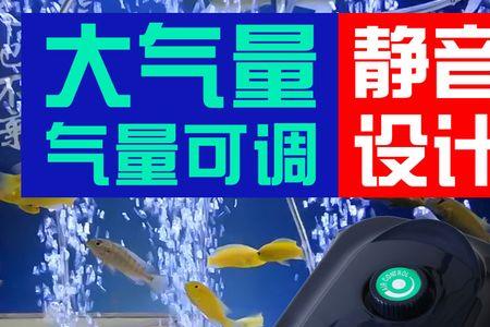 鱼缸太高氧气泵不出泡